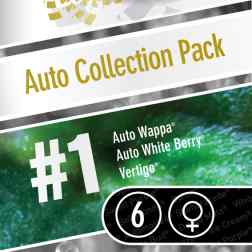 AUTO COLLECTION PACK #1 6pcs autoflower (Paradise Seeds)
