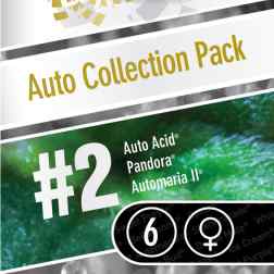 AUTO COLLECTION PACK #2 6pcs autoflower (Paradise Seeds)