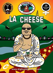 L.A. CHEESE 5pcs feminized (Big Buddha Seeds)
